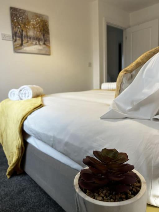 Erasmus House - 3 Bedrooms - Centre, Netflix, Wifi, Free Private Parking Derby